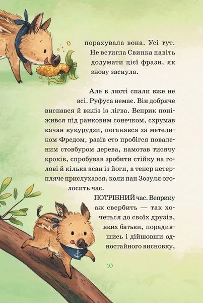 Герої дикого лісу. Порятунок від смутку 10311019616 фото
