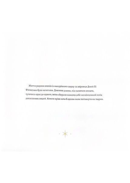 Дашер 10311022877 фото