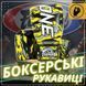 Боксерські рукавиці Fairtex BGV-ONE X STBG (натуральна шкіра) 10 унцій (бинти в комплекті) BGV-ONE_X_STBG_10oz фото 2