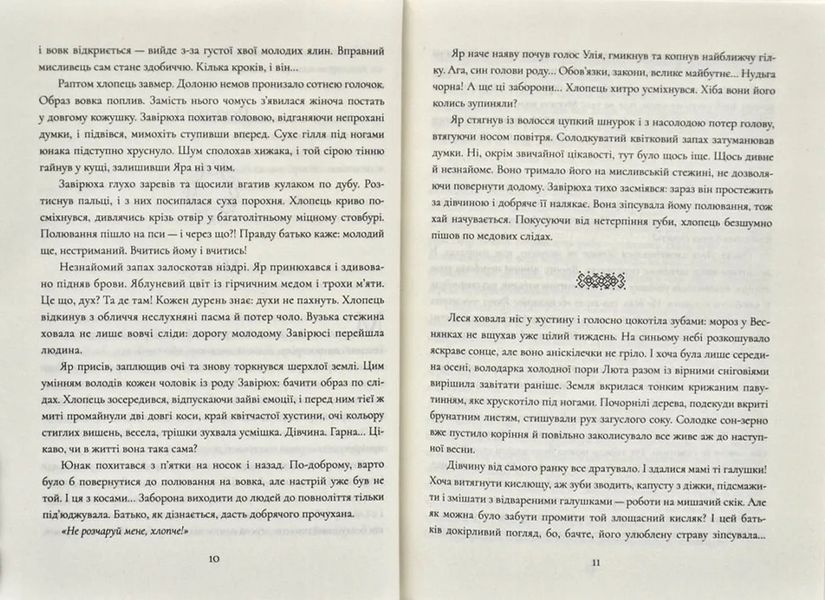 Завірюха 1031168050 фото