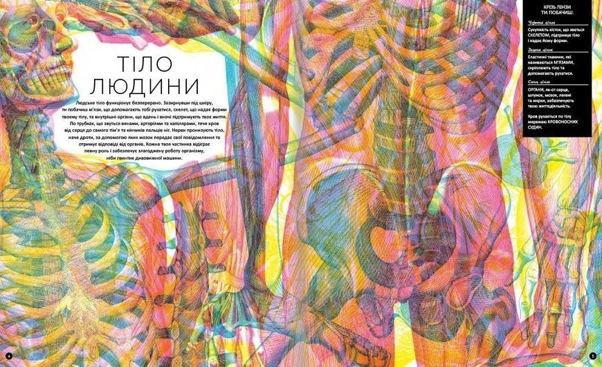 Прихований світ людського тіла 10311015612 фото