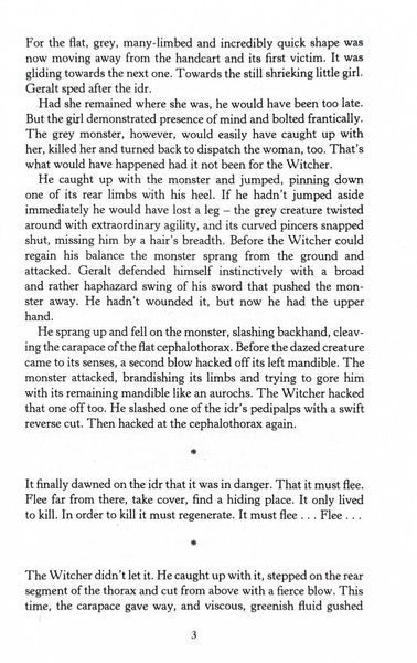 Season of Storms. The Witcher. Book 0.2 10311029590 фото