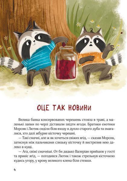 Шалене літо єнотів-бешкетників. Подорож до Баштанової долини 10311033144 фото