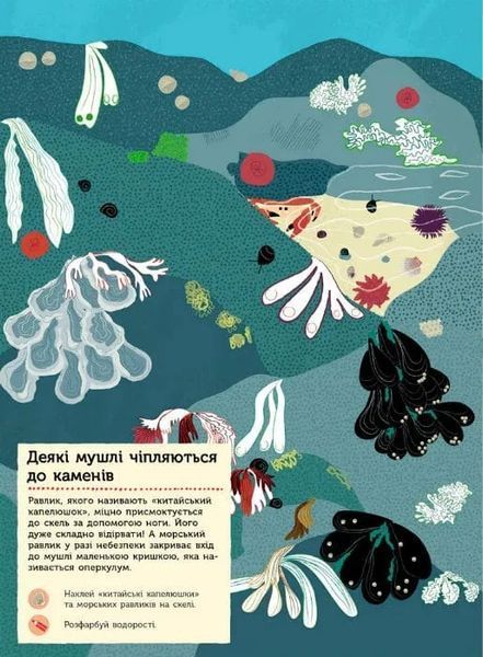 Моя книга природи. На березі моря 1031162057 фото