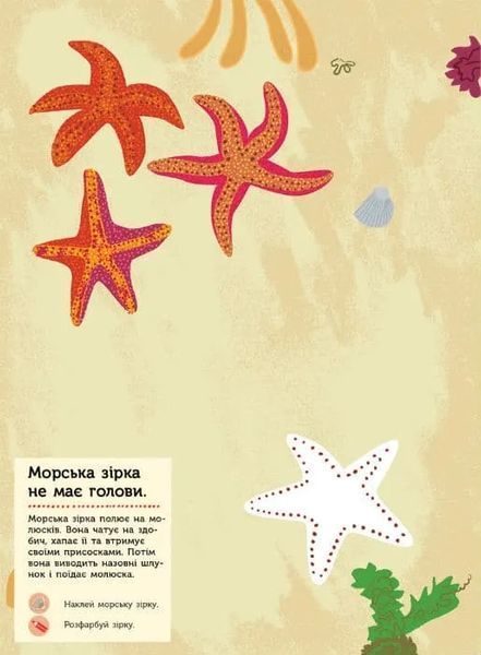 Моя книга природи. На березі моря 1031162057 фото