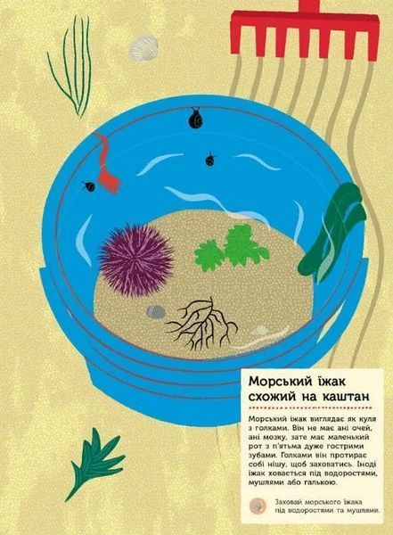 Моя книга природи. На березі моря 1031162057 фото