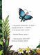 Де моя мама? 1031150342 фото 2