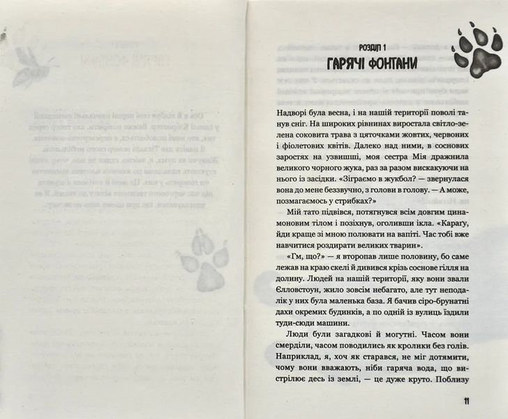 Діти лісу. Таємниця Голлі. Книга 3 10311008256 фото