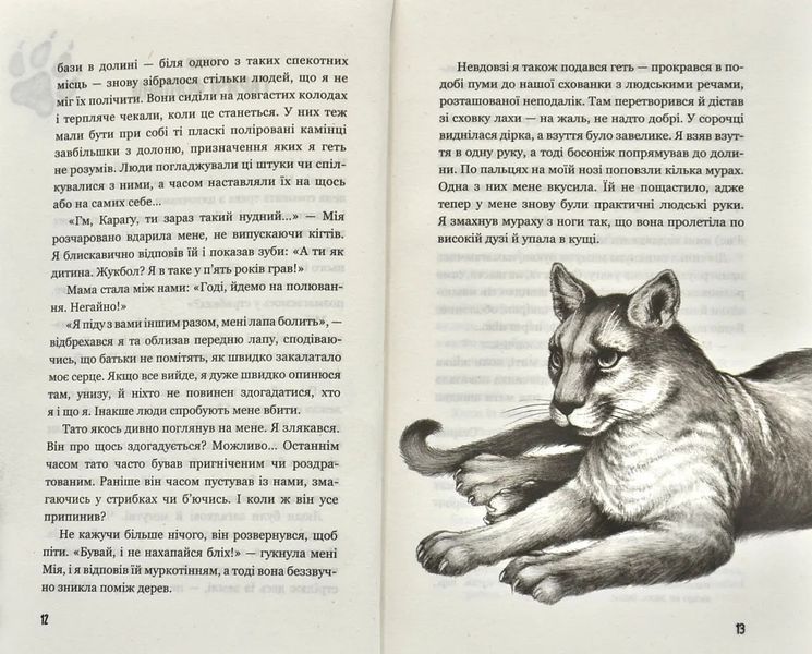 Діти лісу. Таємниця Голлі. Книга 3 10311008256 фото