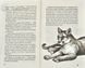 Діти лісу. Таємниця Голлі. Книга 3 10311008256 фото 5